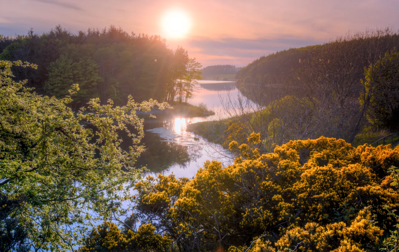 Clatto Reservoir