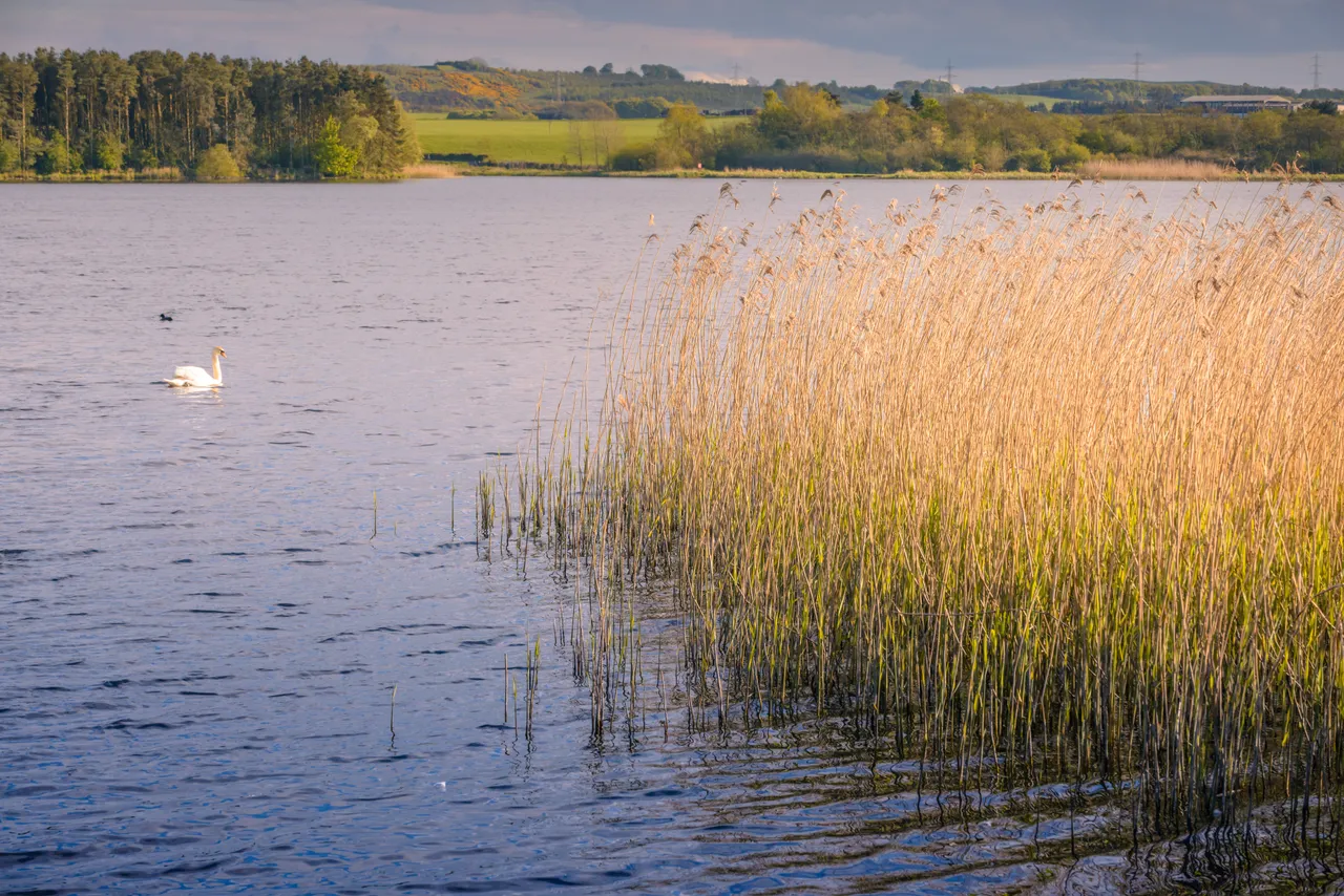 Lochore Meadows Country Park