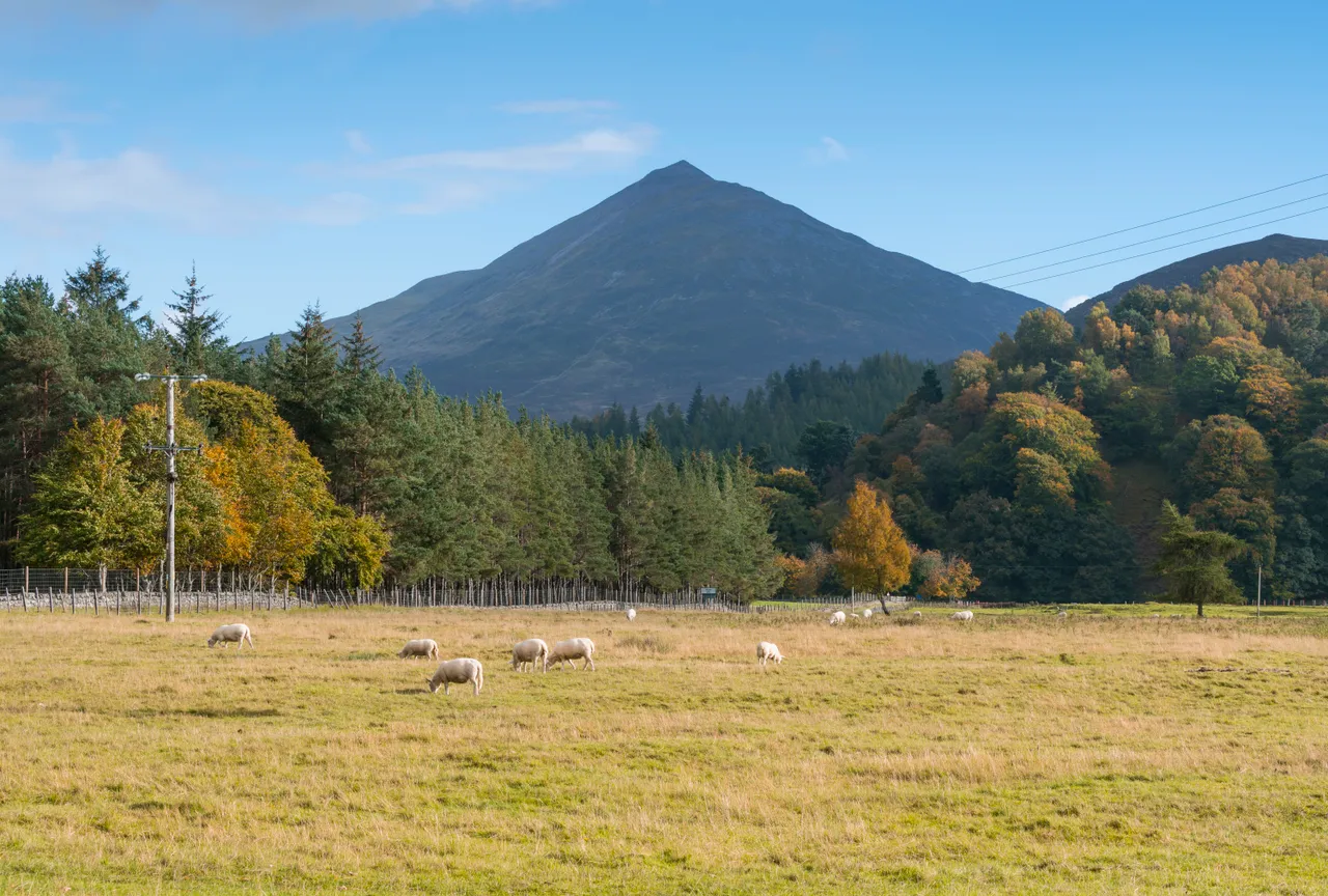 Schiehallion