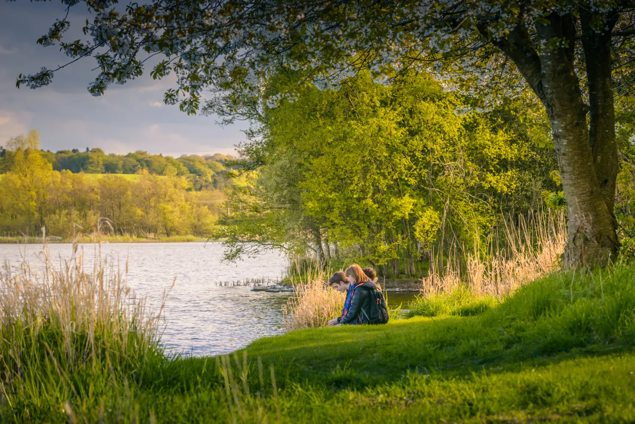 Lochore Meadows Country Park