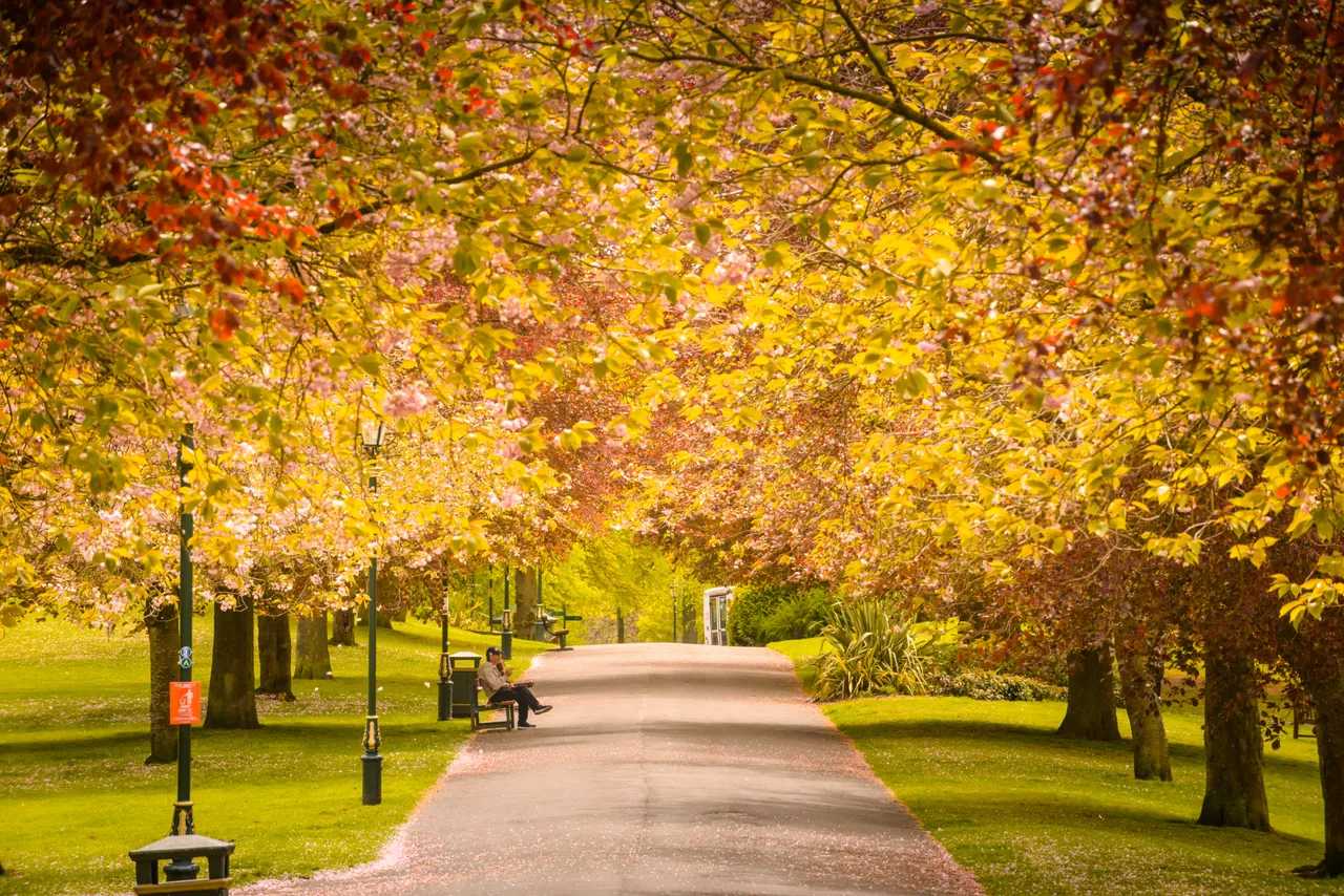 Pittencrieff Park