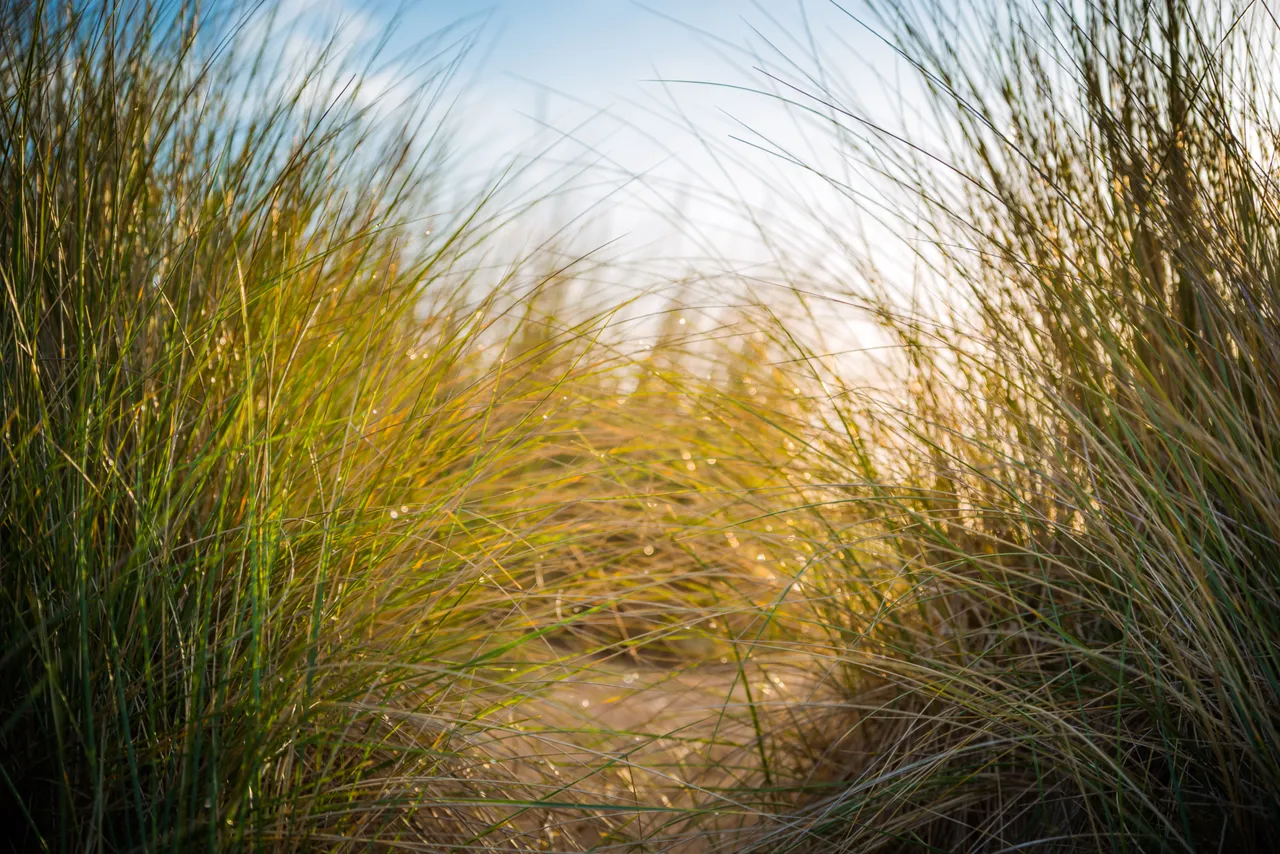 Fraserburgh Beach