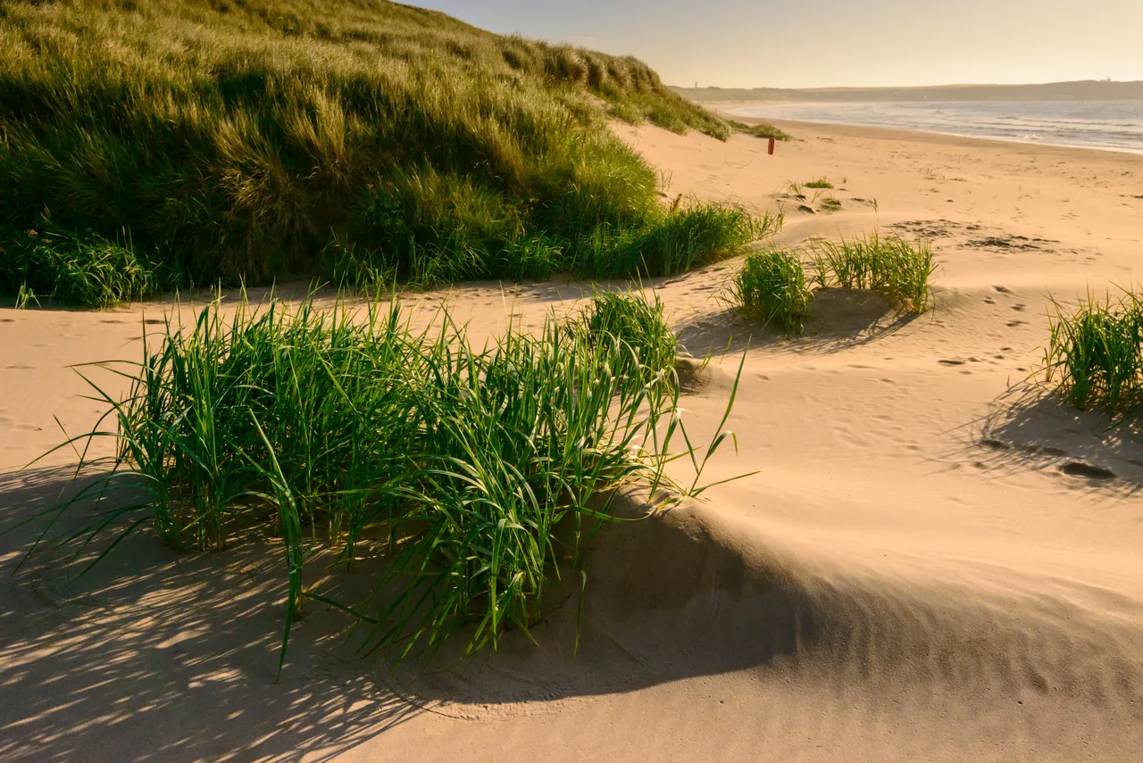 Cruden Bay