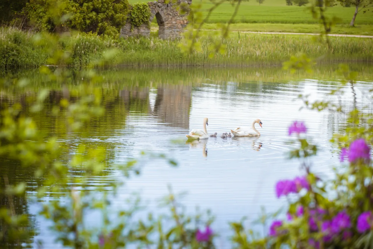 Pitfour Lake