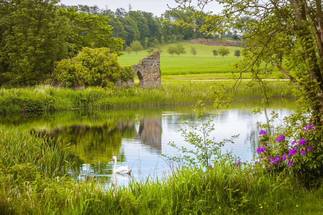 Pitfour Lake