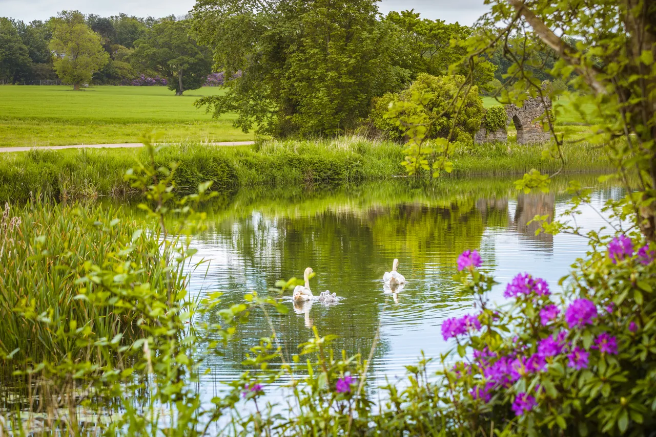 Pitfour Lake