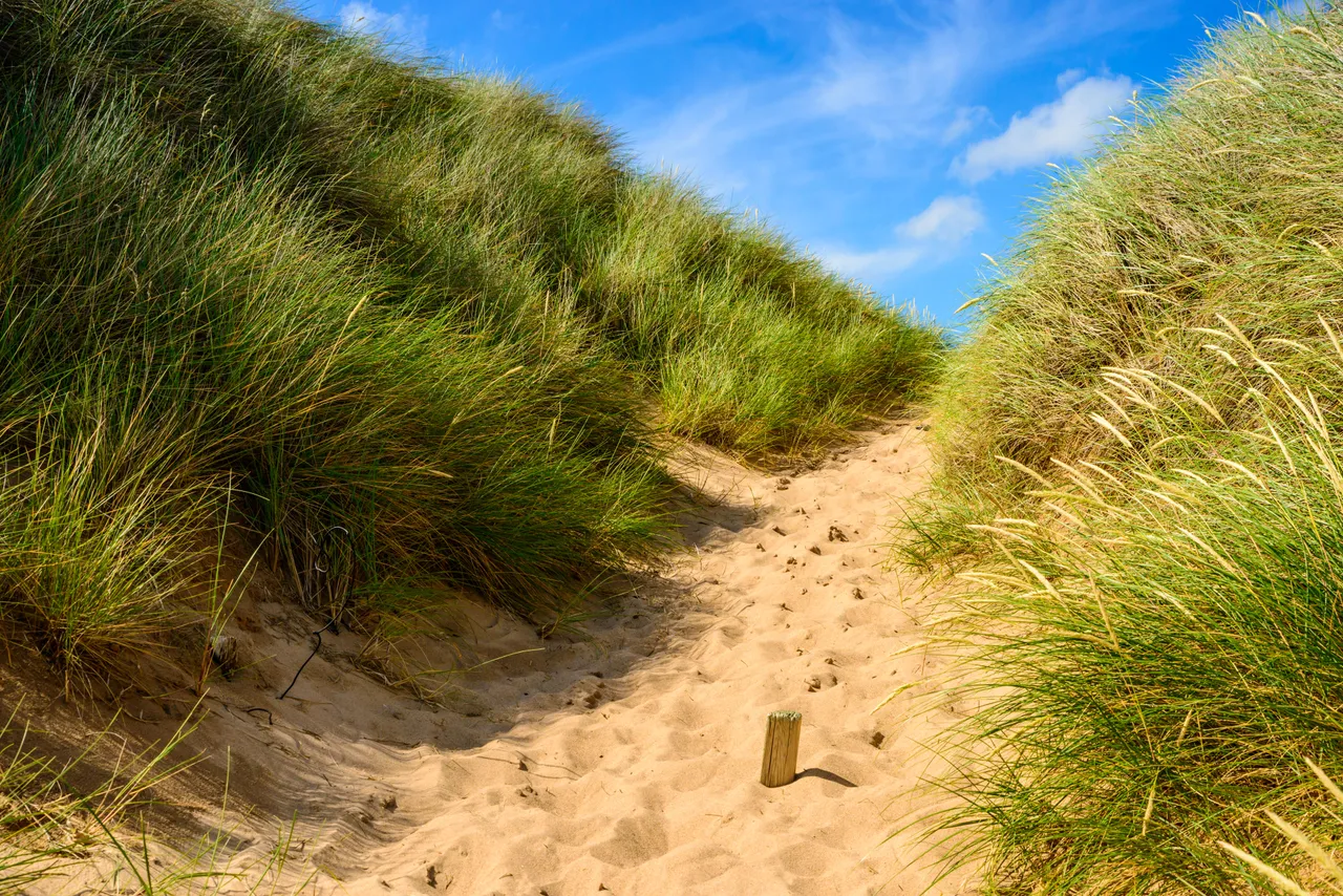 Balmedie Beach