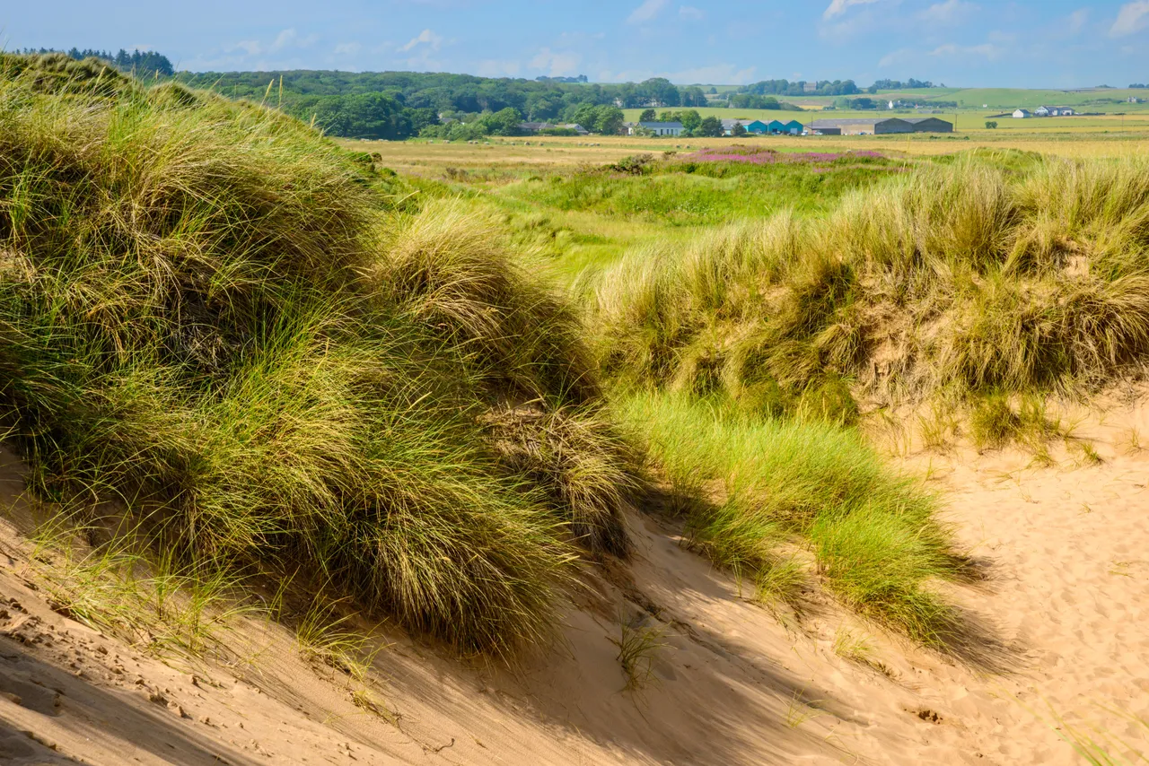 Balmedie Beach
