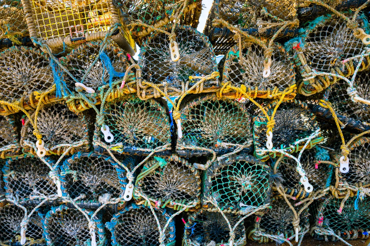 Lobster Creels
