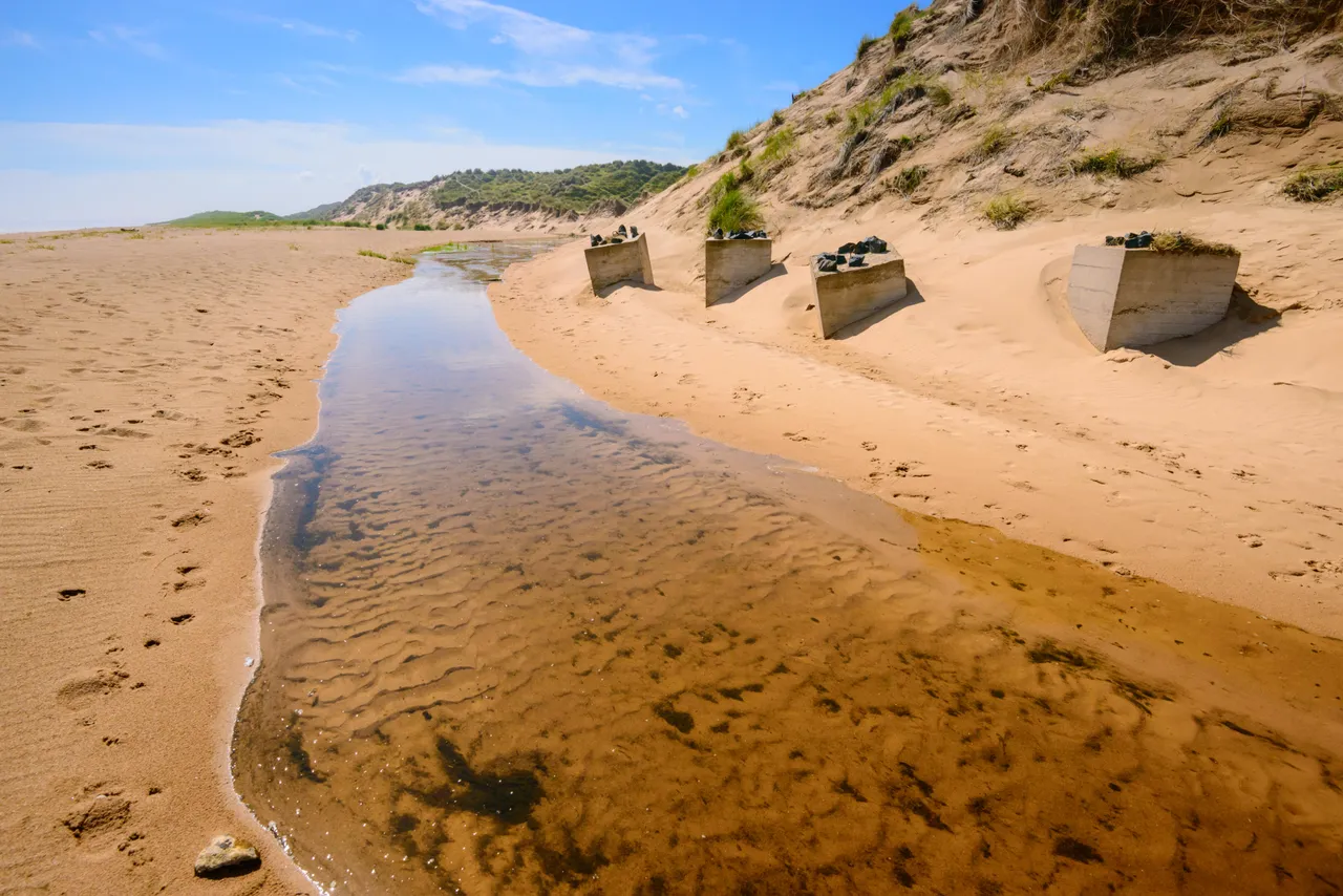 Balmedie Beach