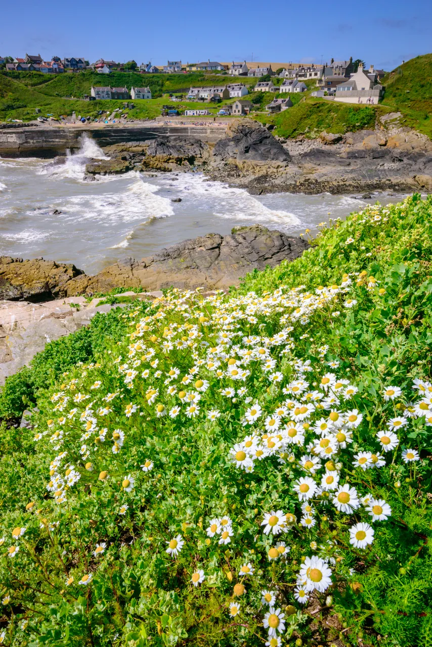 Collieston Bay