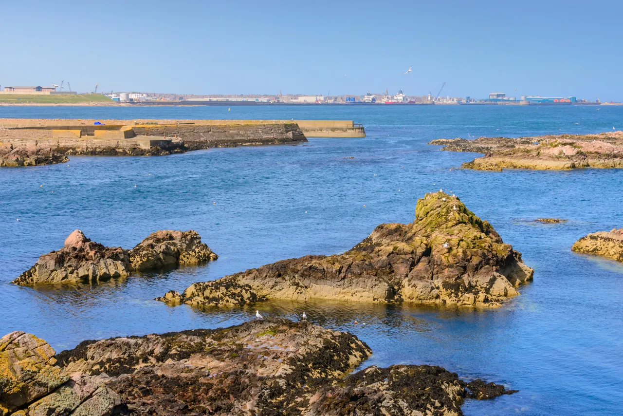 Sandford Bay Viewpoint