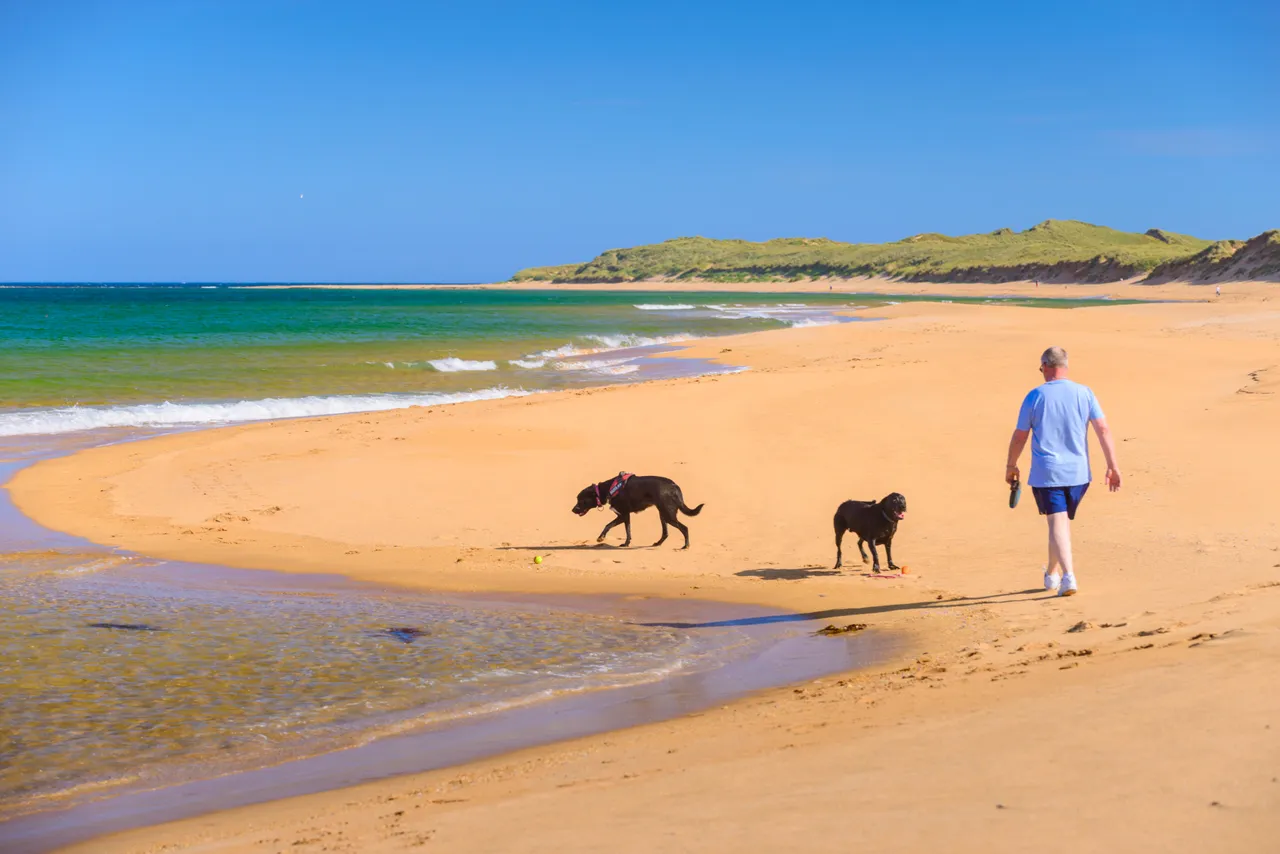 Scotstown Beach
