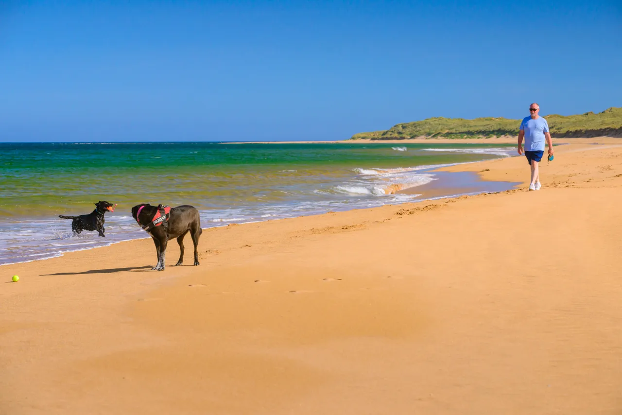 Scotstown Beach