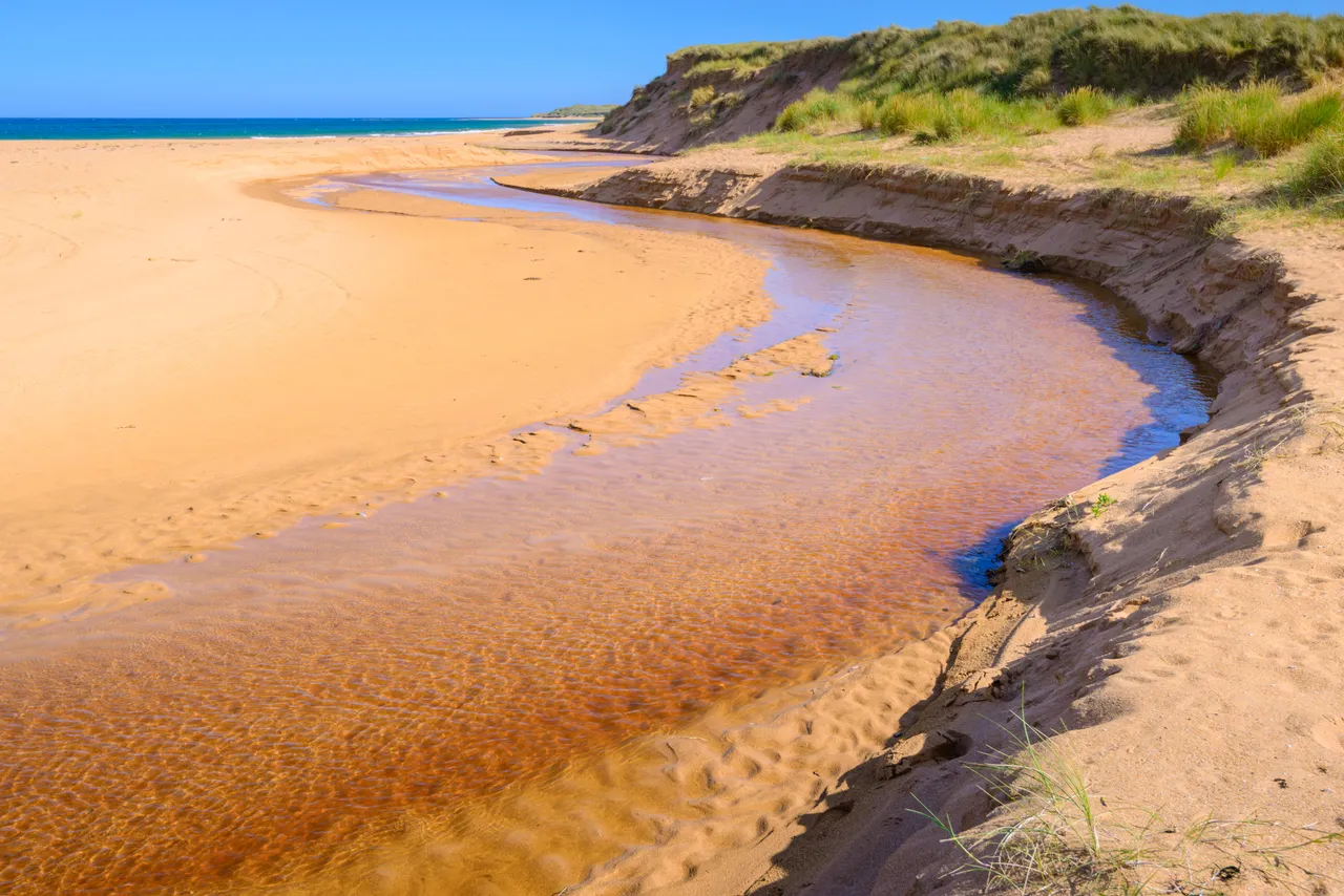 Scotstown Beach