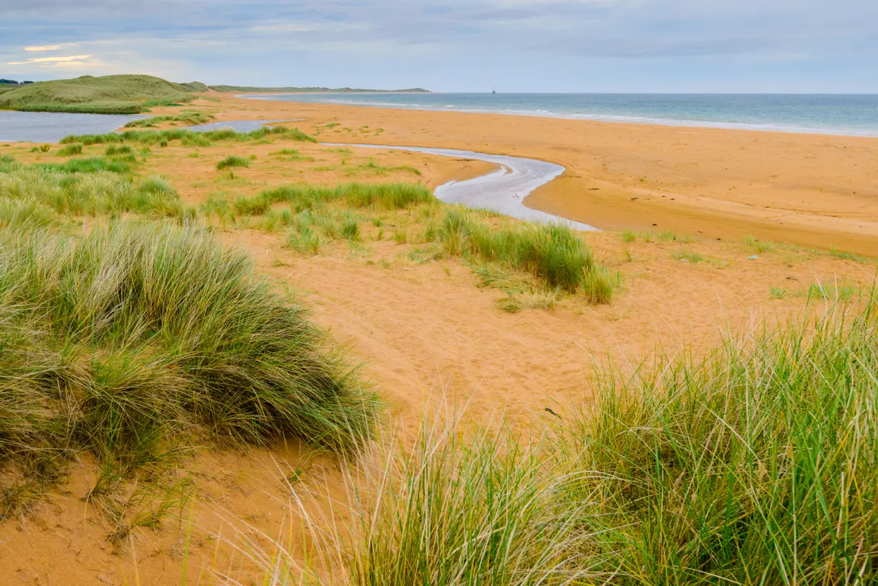 Scotstown Beach