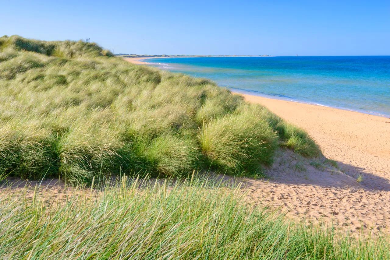 Scotstown Beach