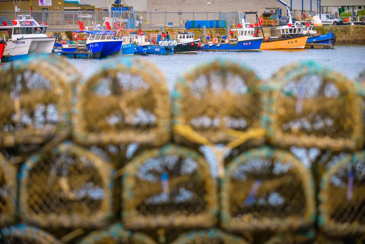 Peterhead Port Authority