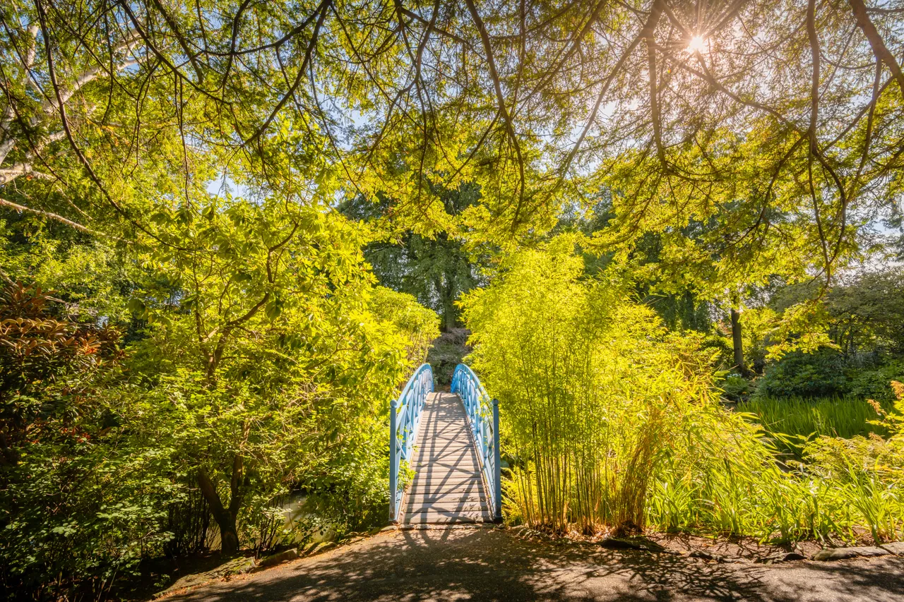 Johnston Gardens