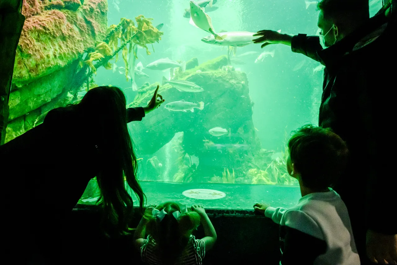 Macduff Marine Aquarium