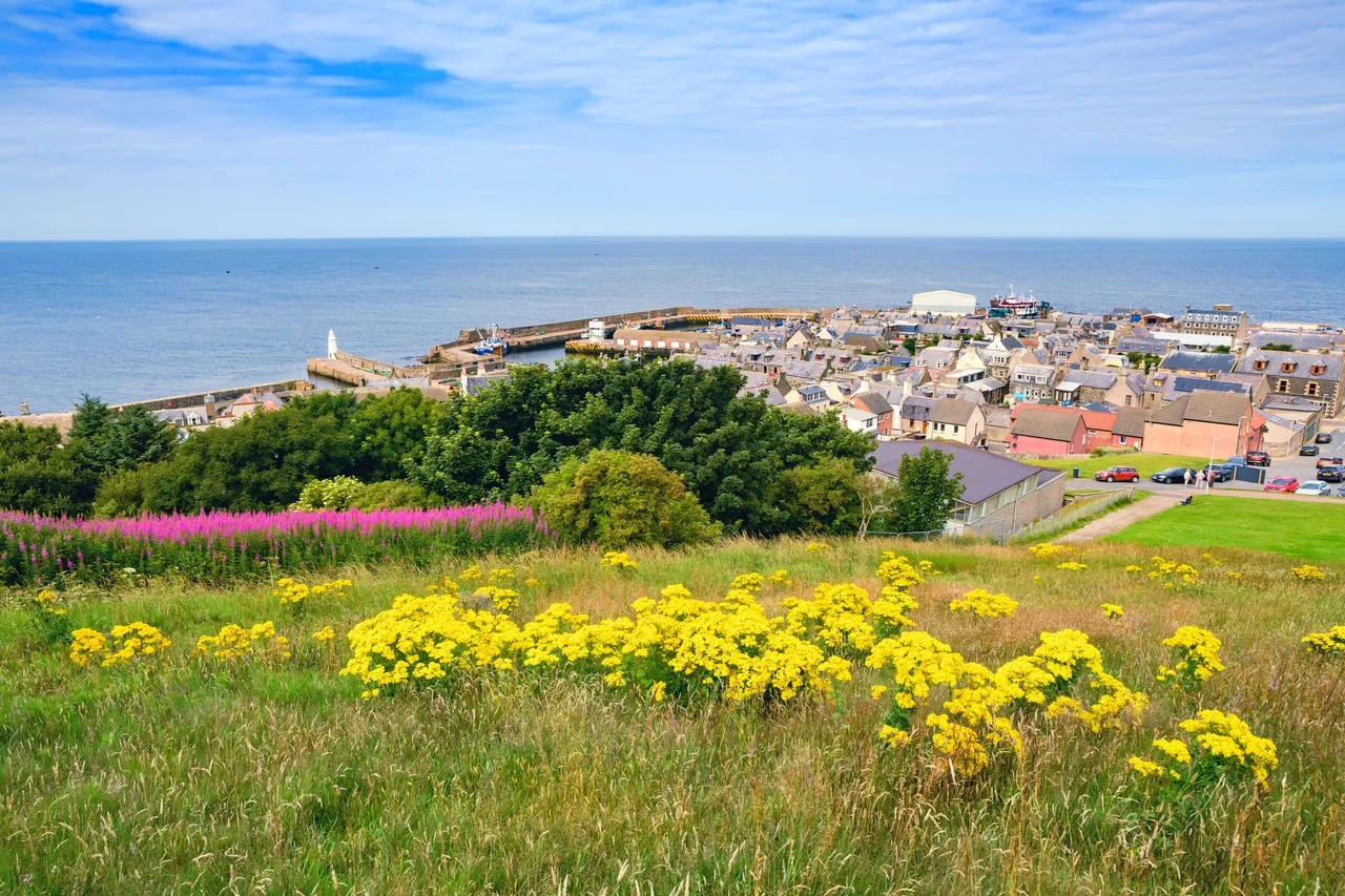 Macduff Harbour