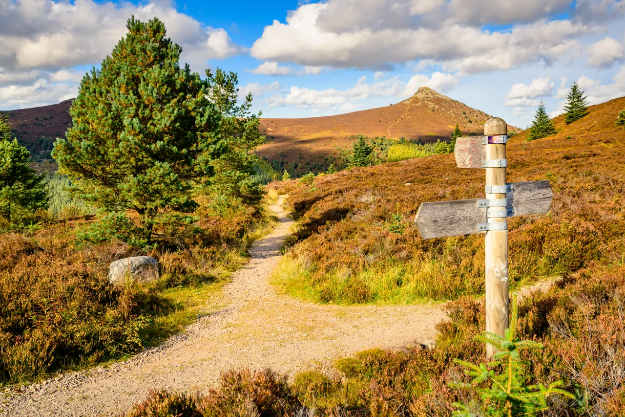 Bennachie