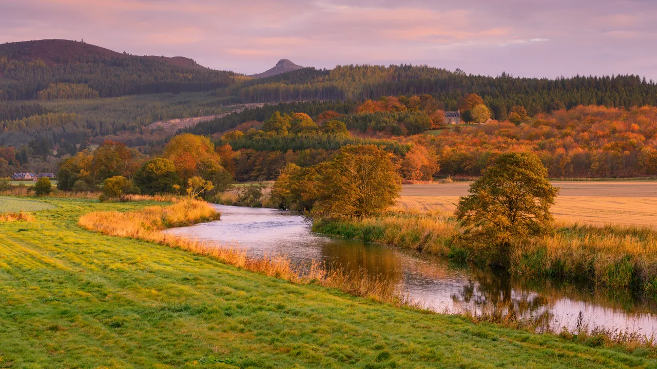 Bennachie