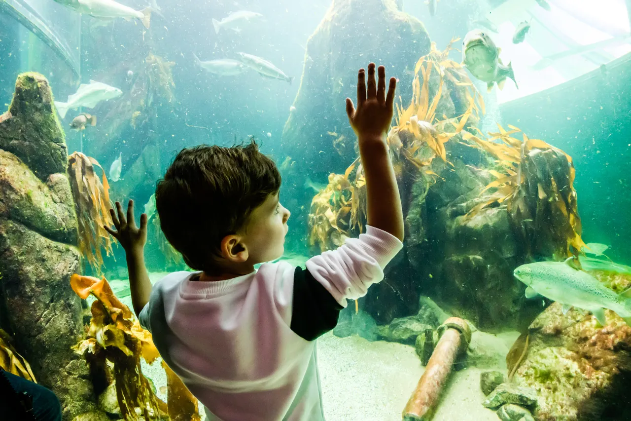 Macduff Marine Aquarium