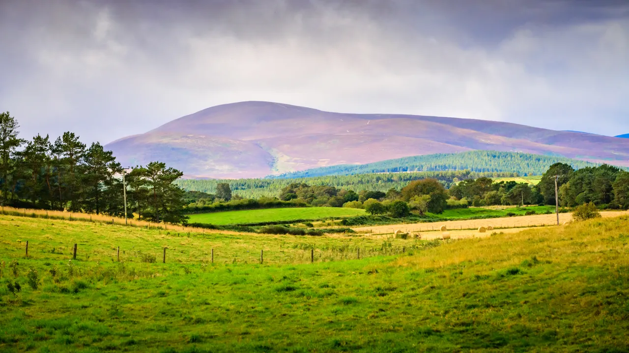 Deeside Mountain Views