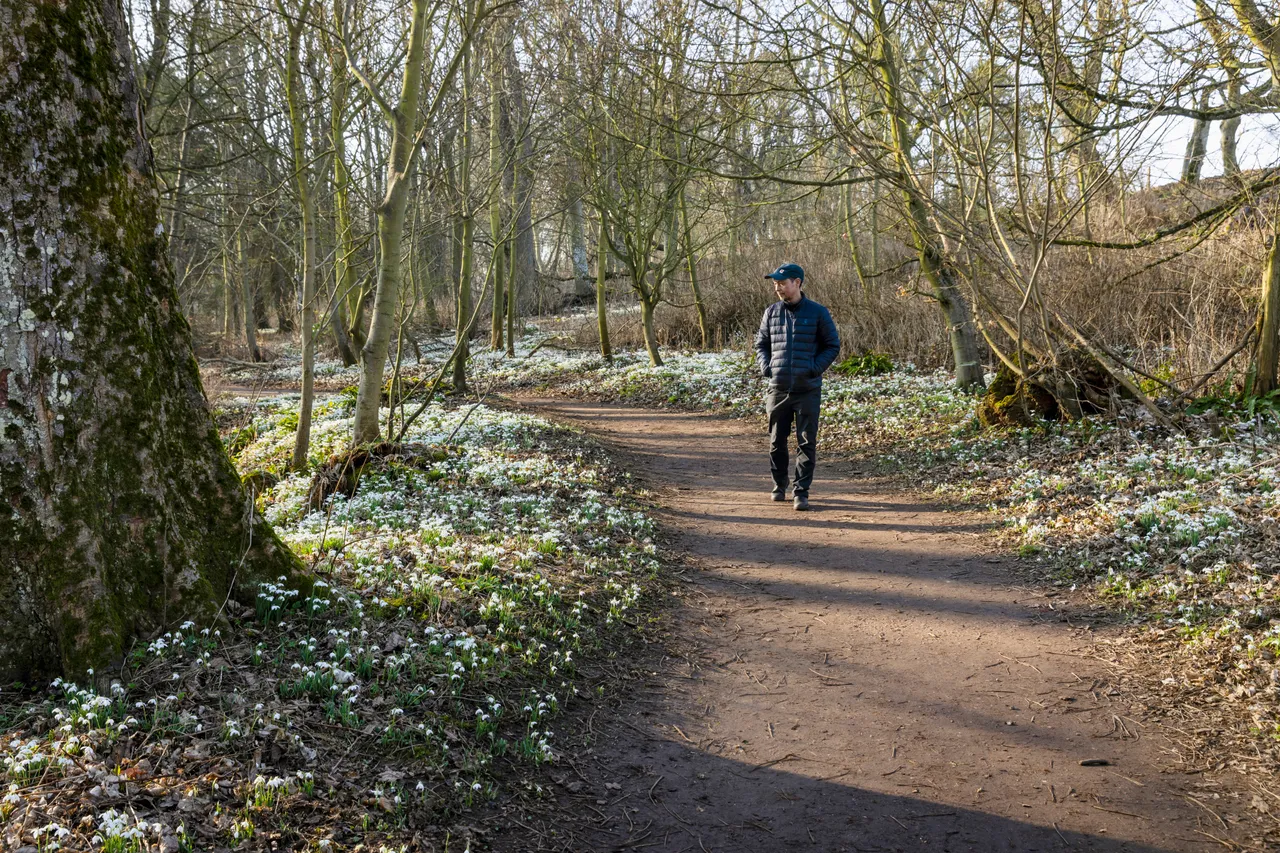 Cambo Snowdrop Festival
