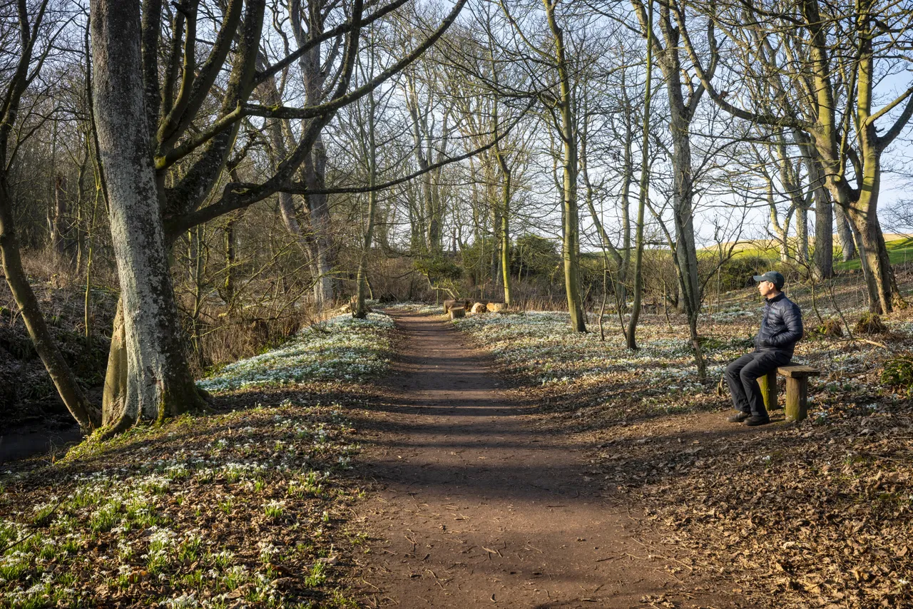 Cambo Snowdrop Festival