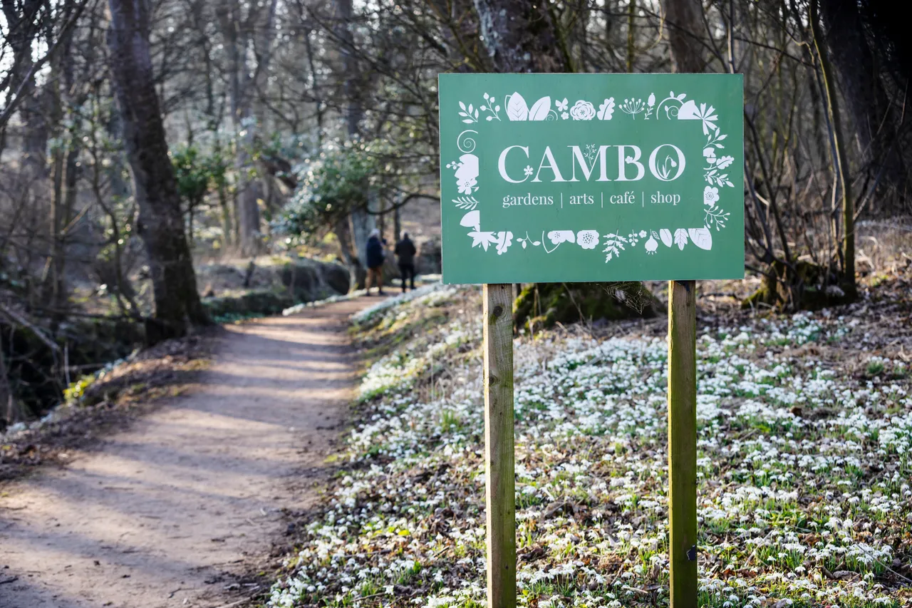 Cambo Snowdrop Festival