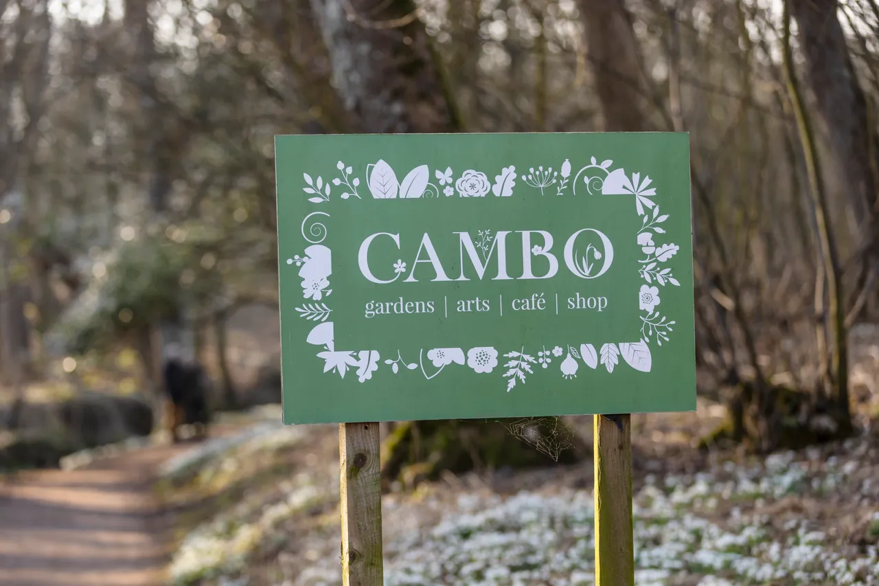 Cambo Snowdrop Festival