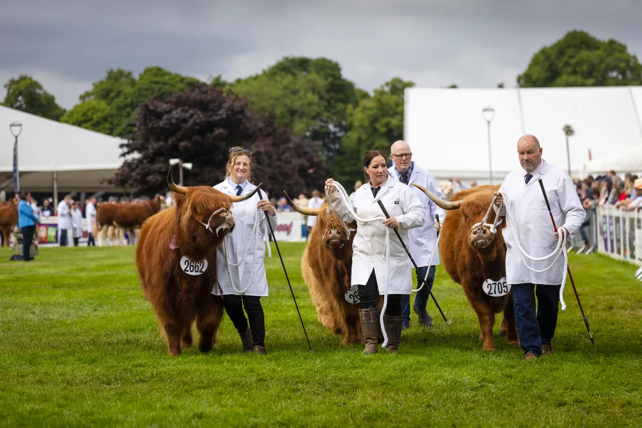 Royal Highland Show