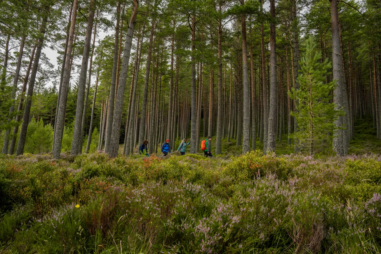 Cairngorms National Park