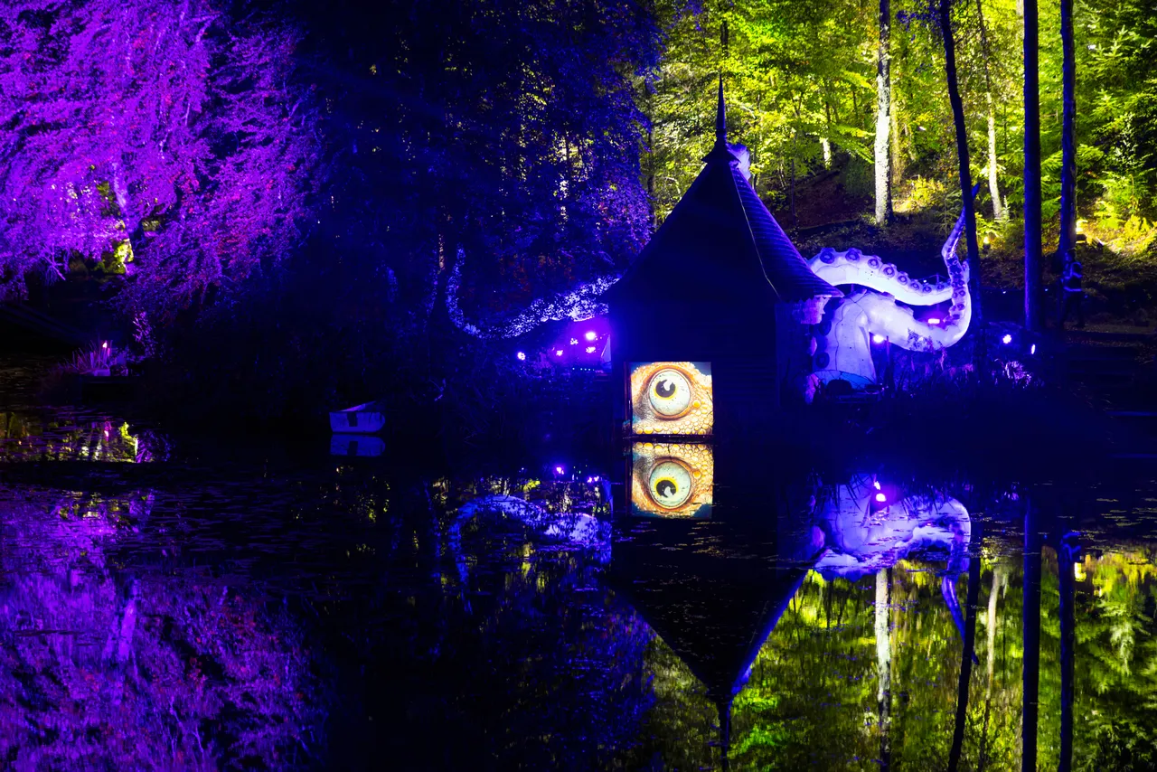 The Enchanted Forest