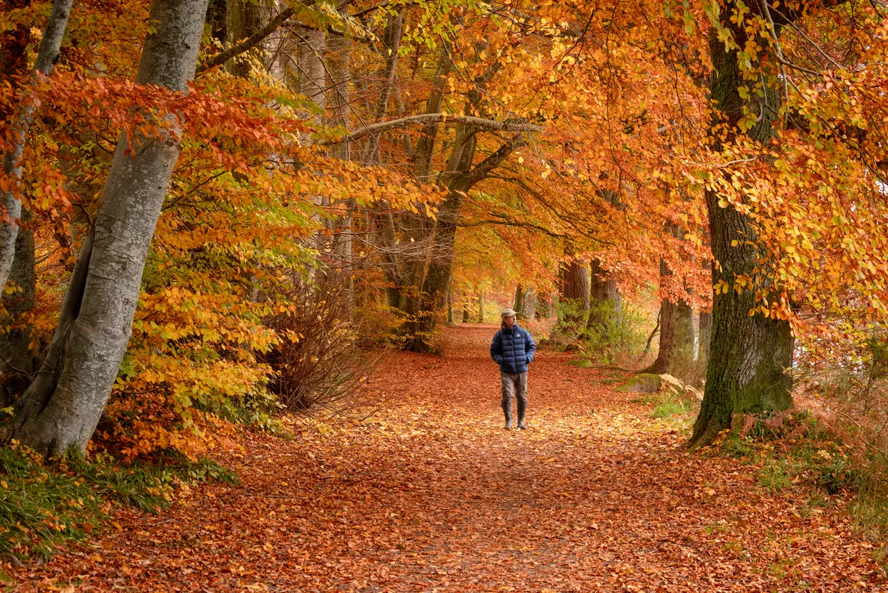 Lady Mary’s Walk