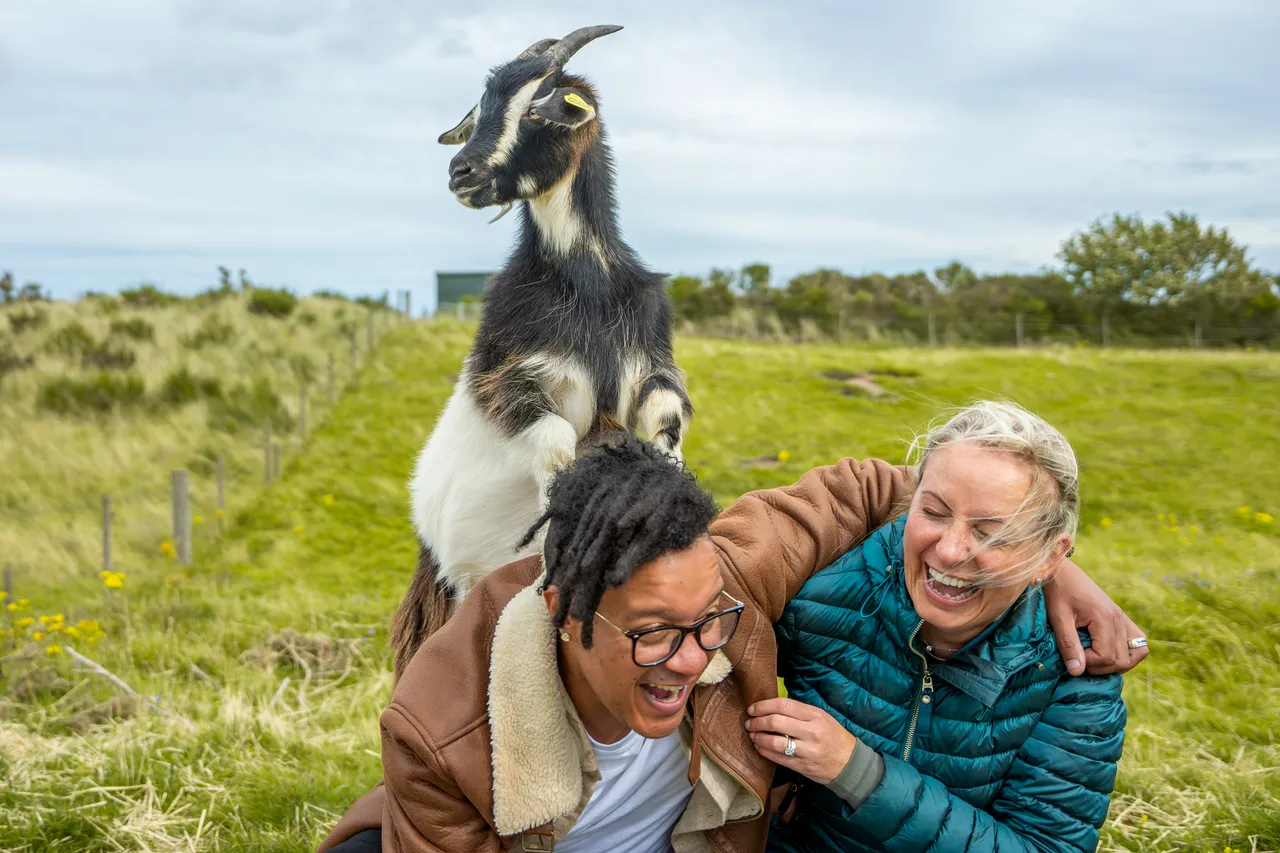 Lunan Bay Farm – Scottish Cashmere Goats