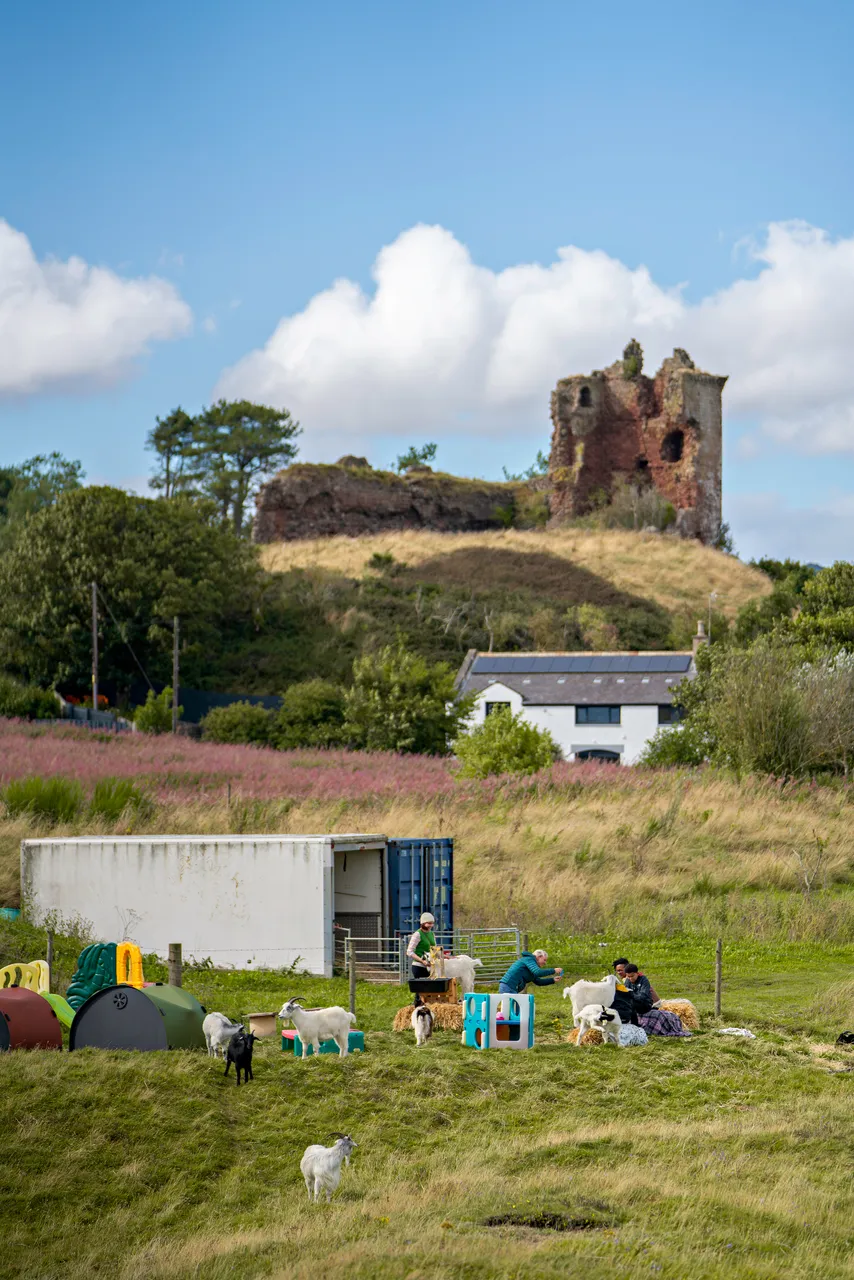 Lunan Bay Farm – Scottish Cashmere Goats
