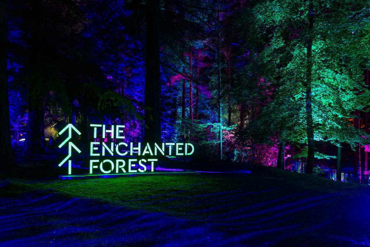 The Enchanted Forest