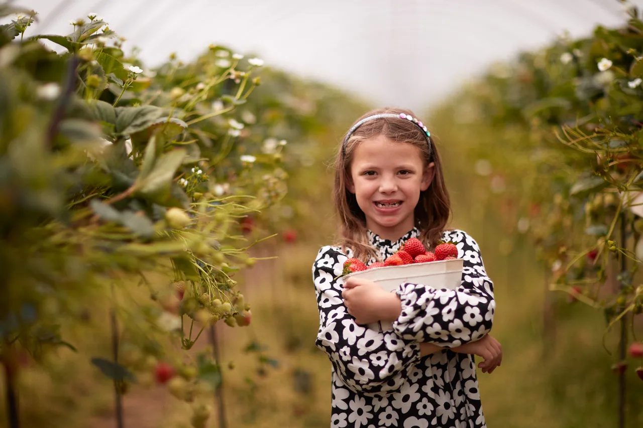 Cairnie Fruit Farm