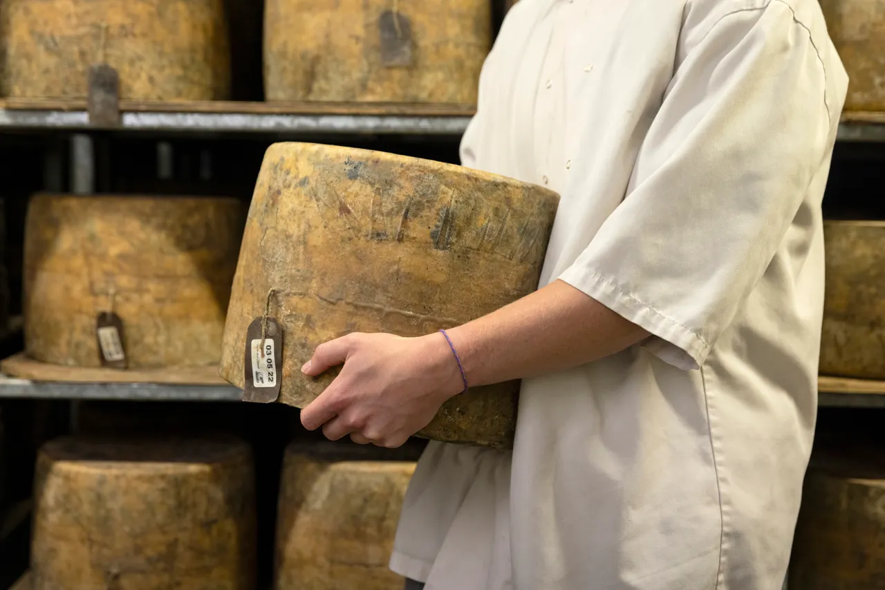 Isle of Mull Cheese