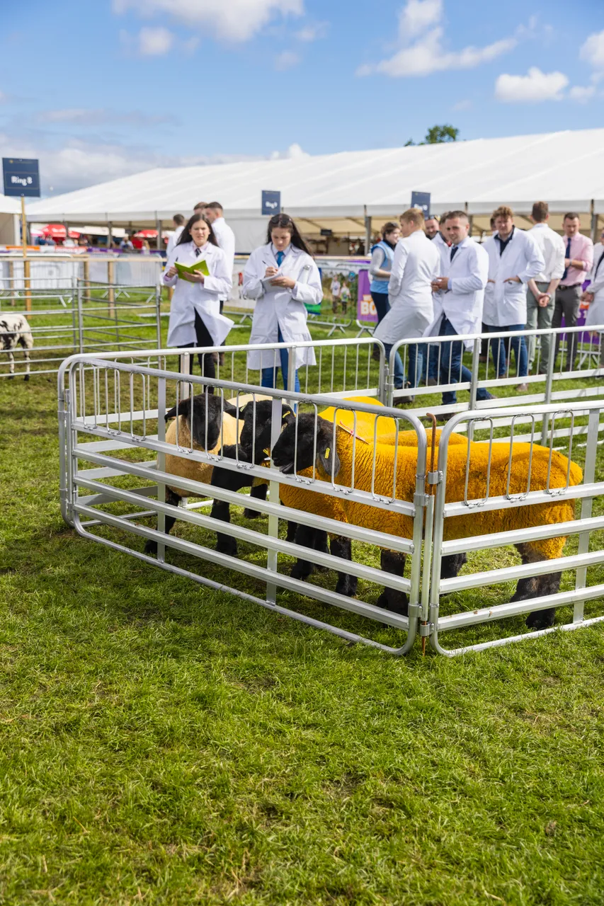 Royal Highland Show