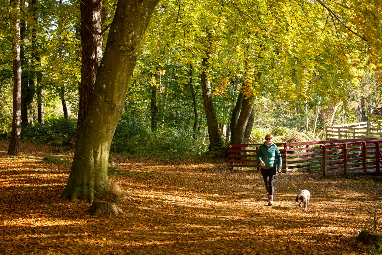 Quarrymill Woodland Park