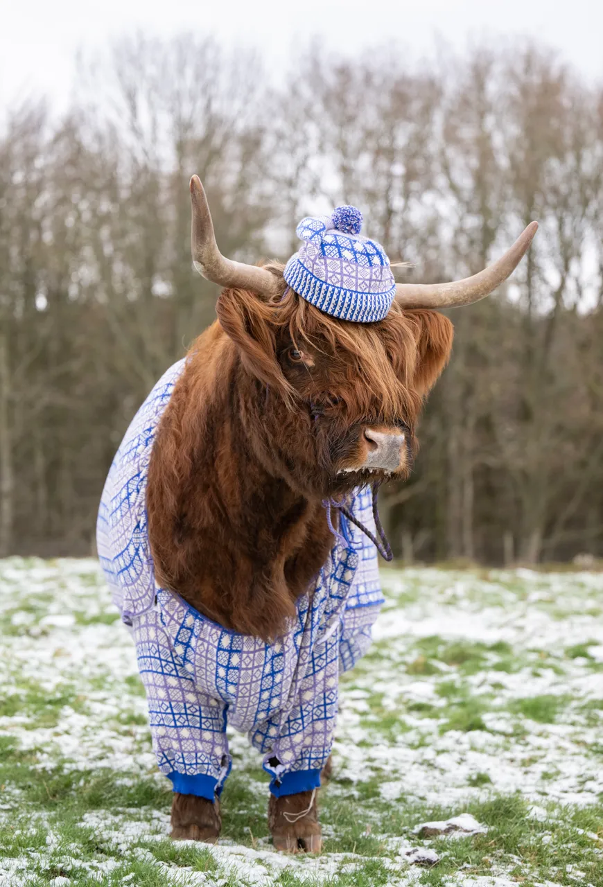 Coos in Cardis