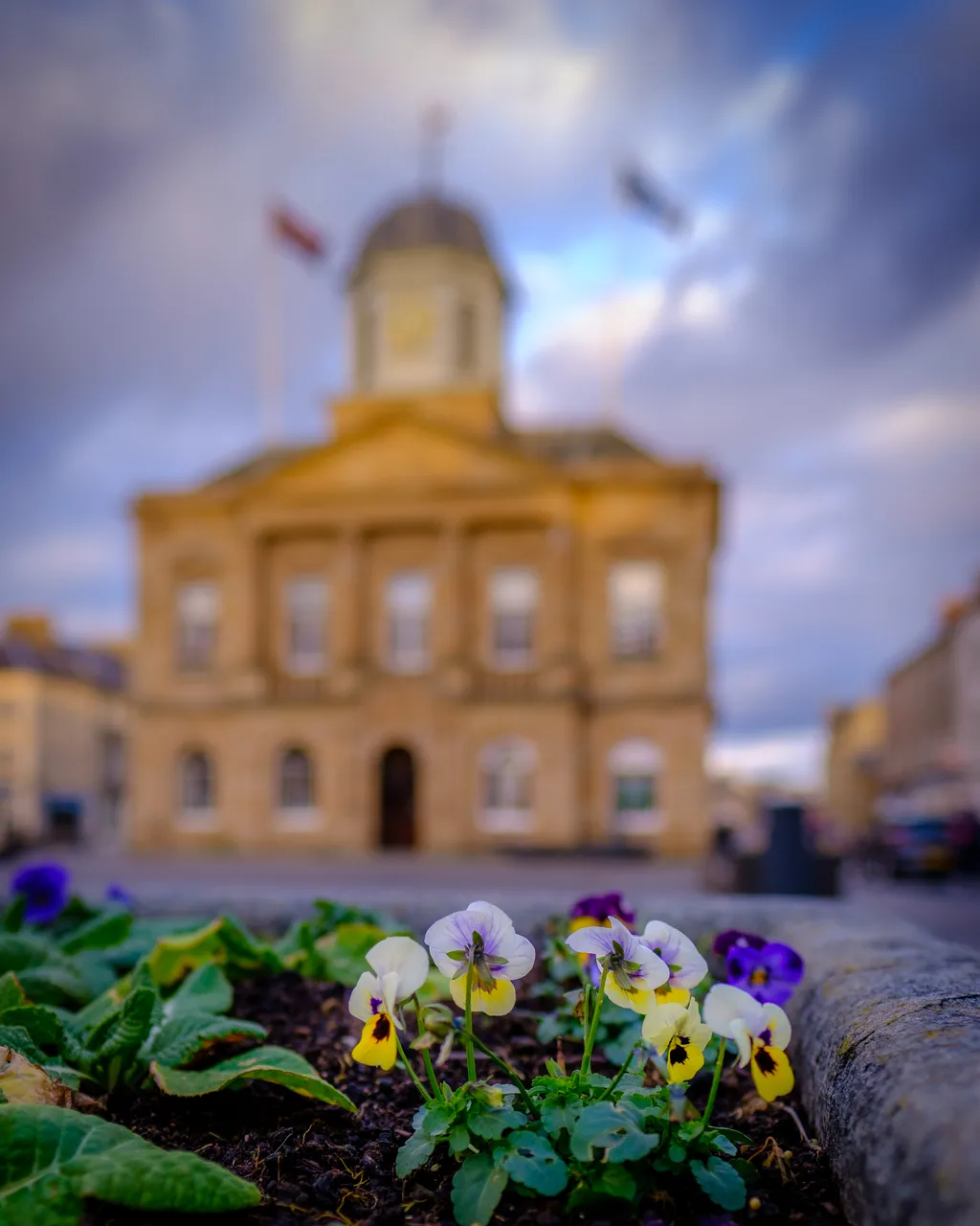 The Square, Kelso