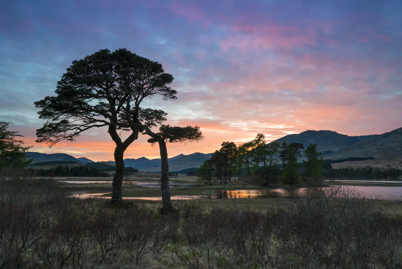 Loch Tulla
