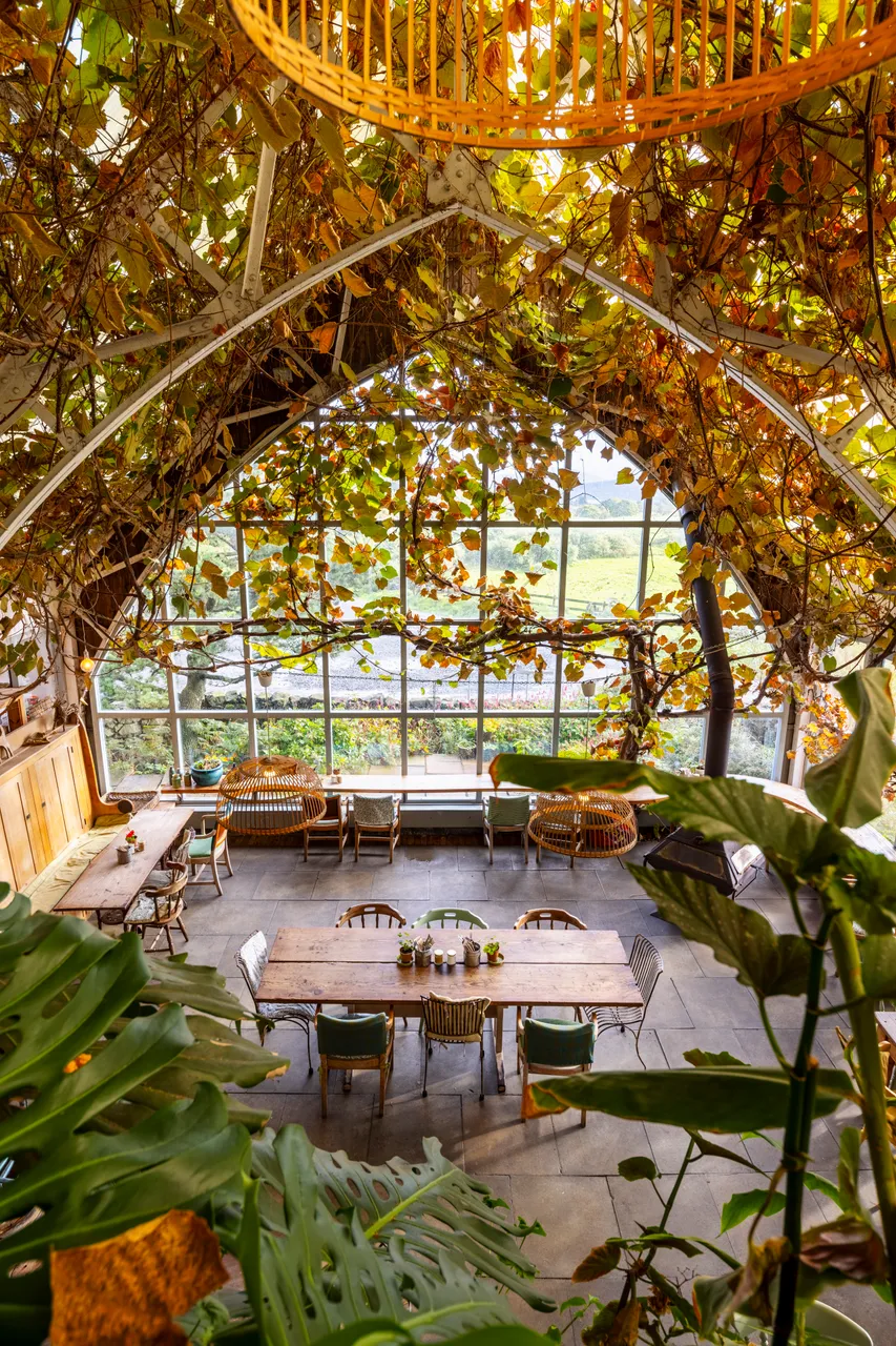 The Glass Barn