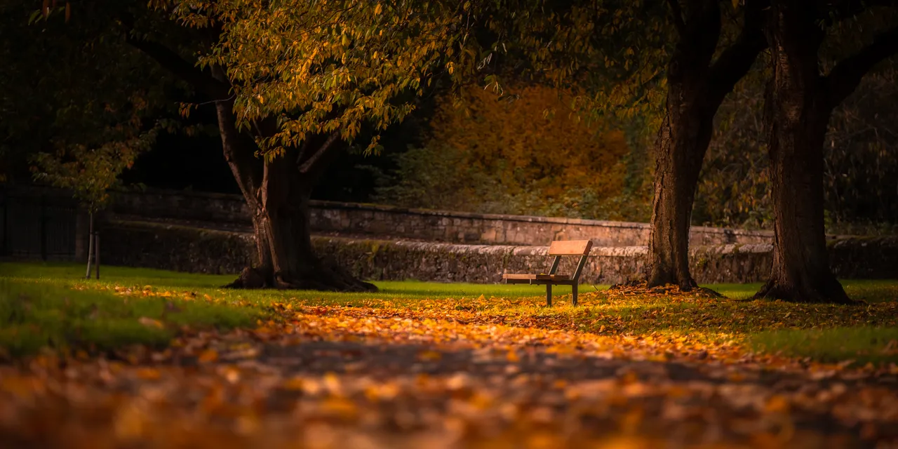 Bridgend Park