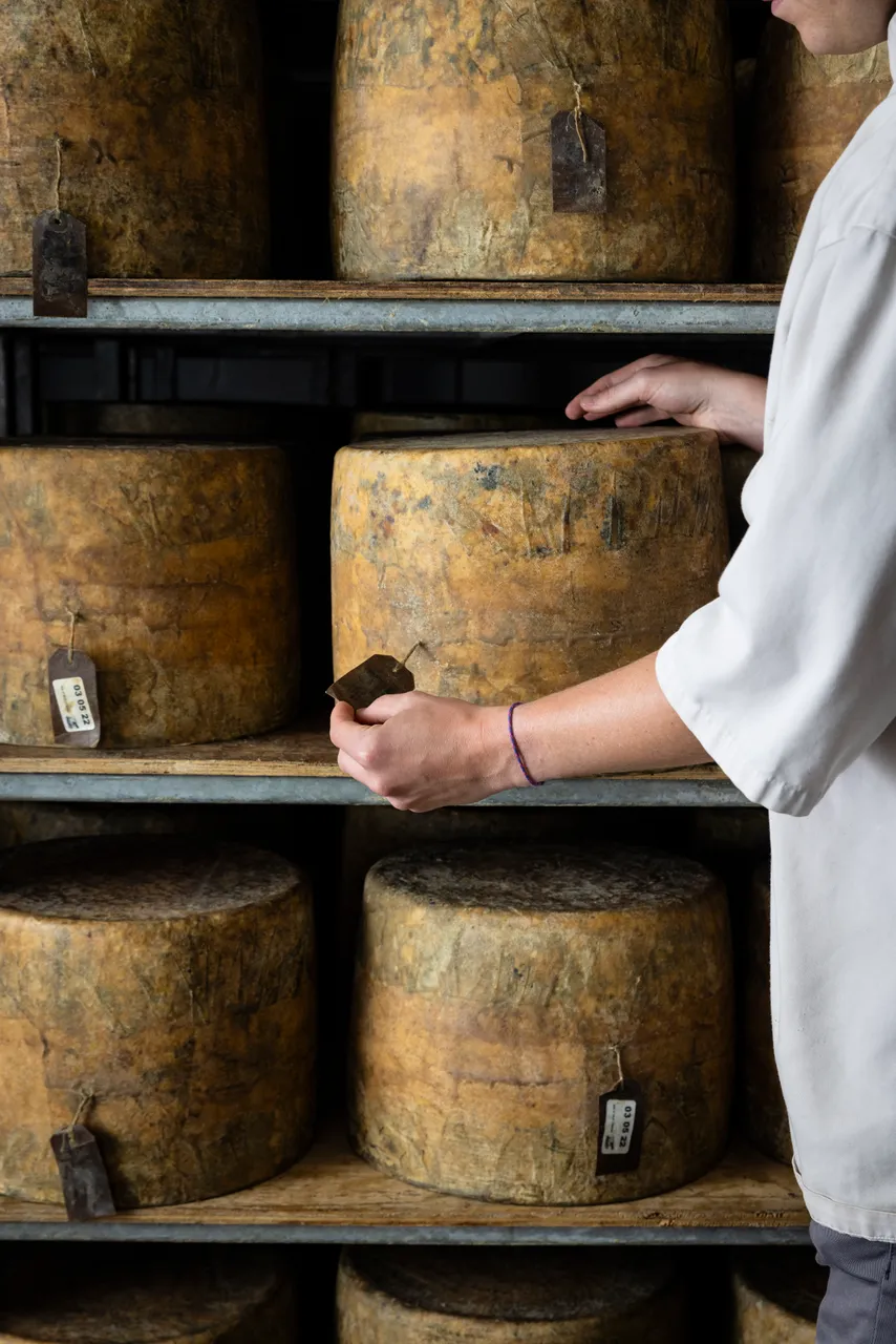 Isle of Mull Cheese